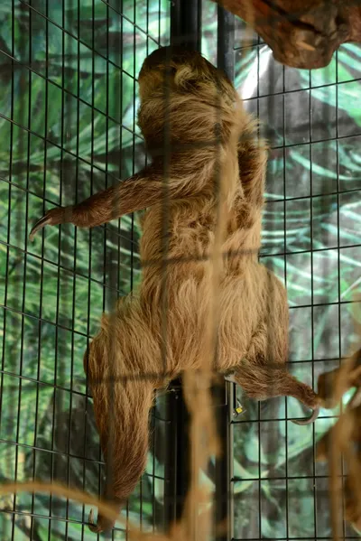 DSC_2304 (Large).JPG